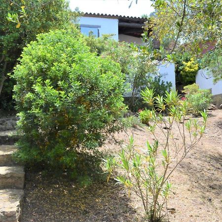 فيلا Casa Minipa بيغور المظهر الخارجي الصورة